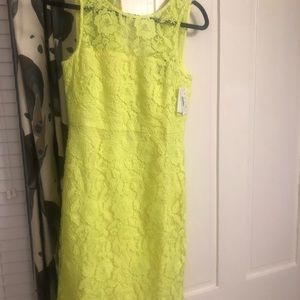 J. Crew Collection Lace Sheath Dress, size 6